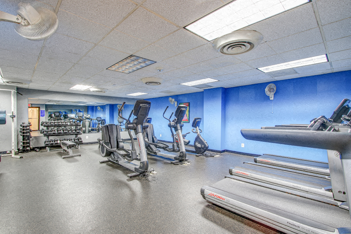 a gym with cardio equipment and weights in a building with blue walls