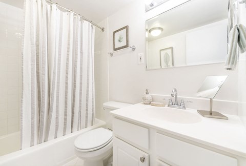 a bathroom with a shower and a sink and a toilet