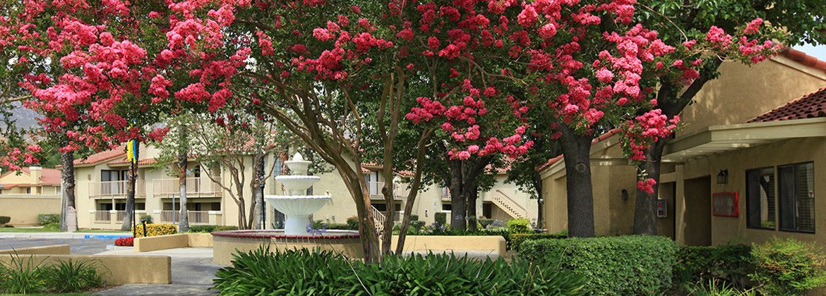 Acacia Park Apartments Apartments in San Bernardino, CA