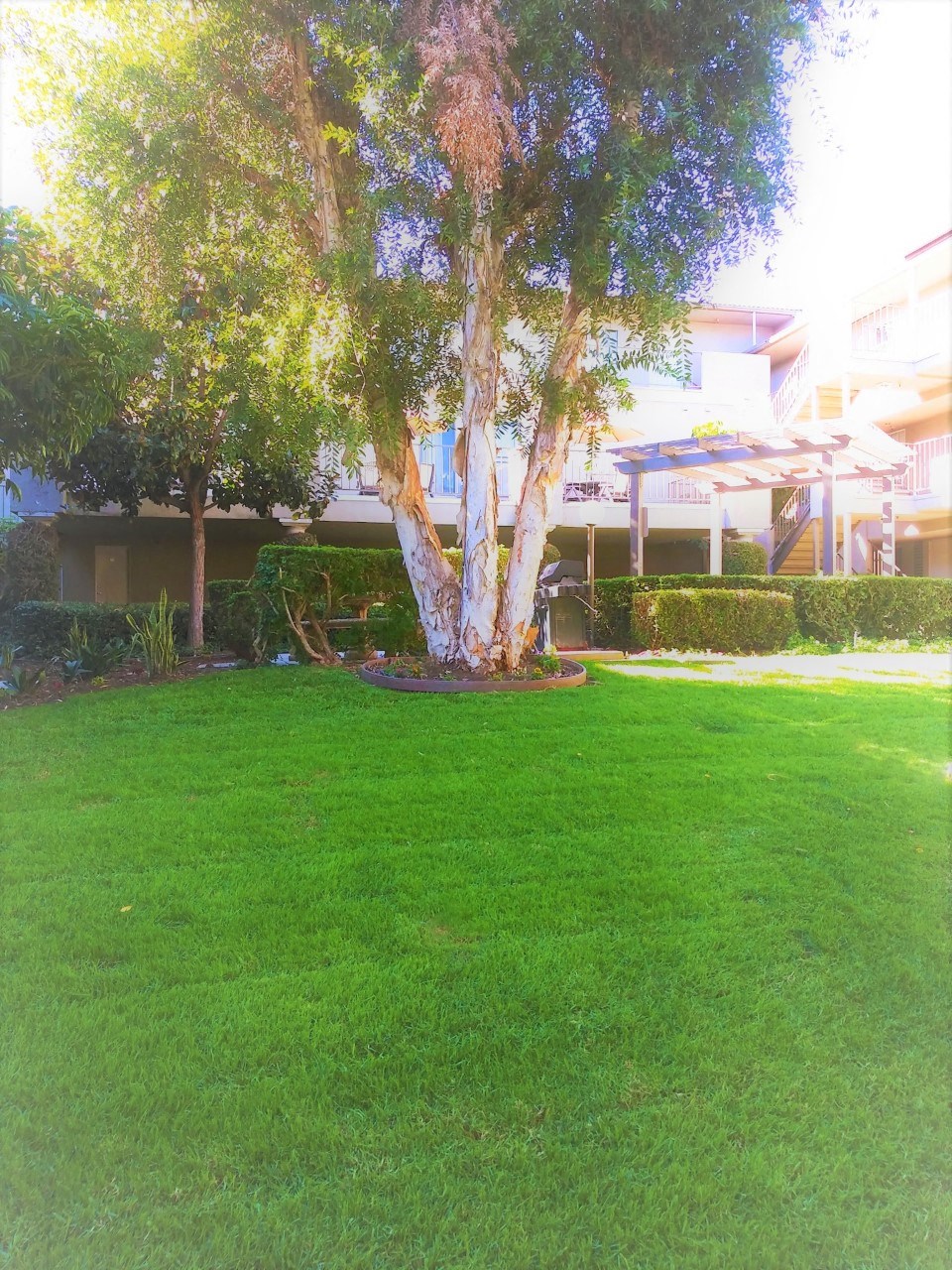 Chateau Spring Gardens Apartments