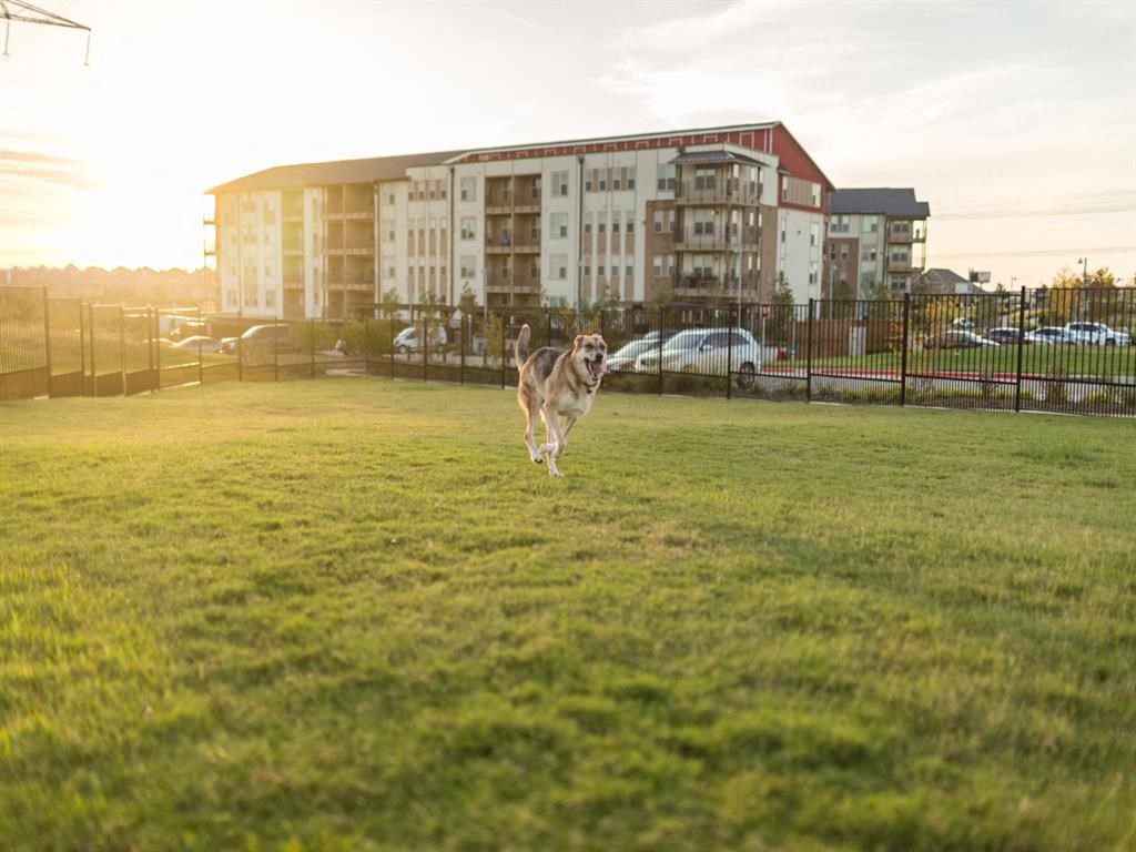 Discovery at The Realm Apartments, 3600 Windhaven Parkway, Lewisville