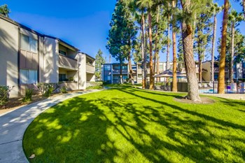 Shasta Lane Apartments Walkway - Photo Gallery 6