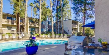 Shasta Lane Apartments Lifestyle - Pool Deck & Pool - Photo Gallery 5