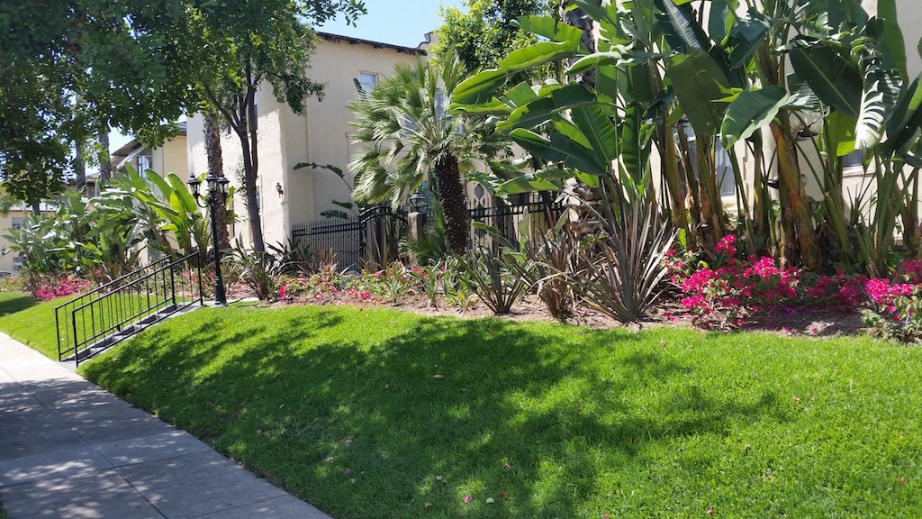 South Olive Apartments Exterior View