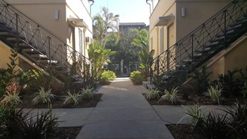 South Olive Apartments Walkway - Photo Gallery 4