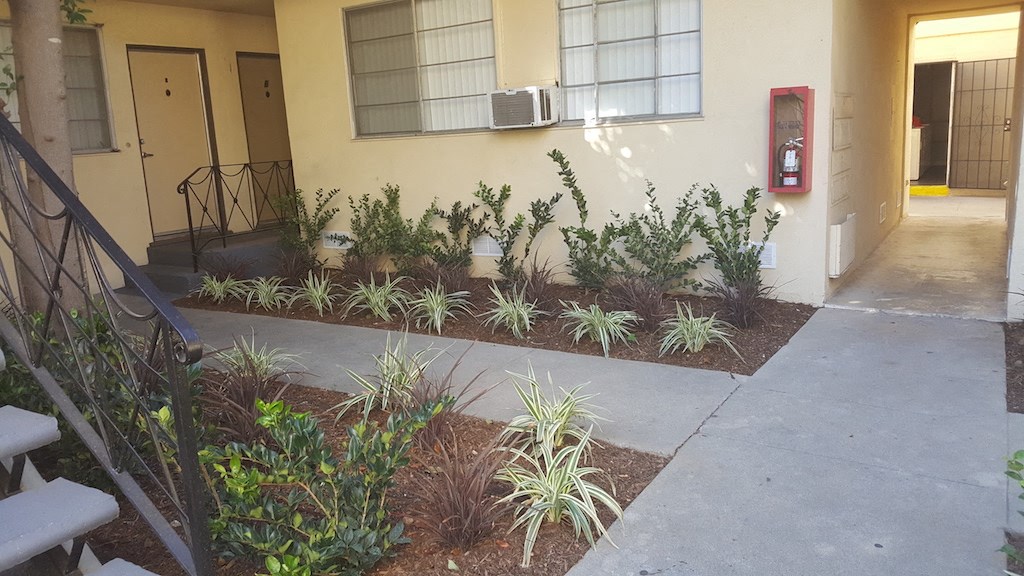 South Olive Apartments Walkway
