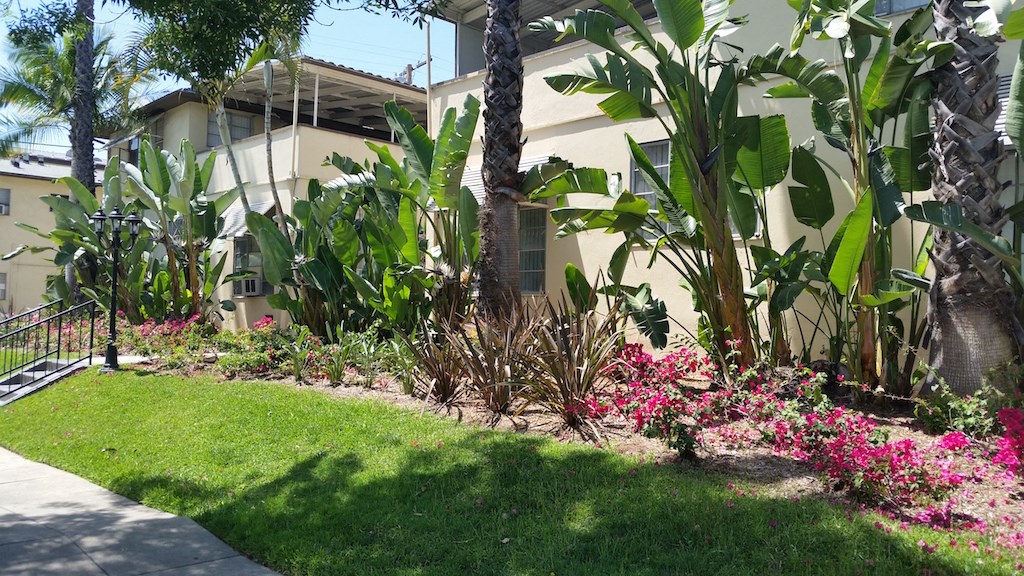 South Olive Apartments Exterior Front Entrance View