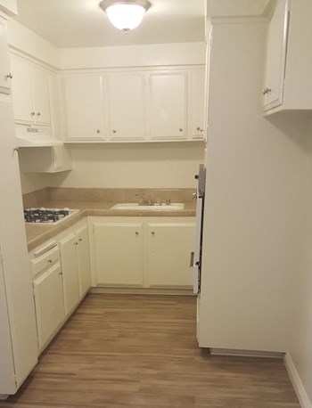 South Olive Apartments Empty Apartment Kitchen - Photo Gallery 8