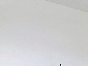 Bedroom with a comfortable bed, wall-to-wall carpet, gray chest of drawers, white walls, and a panorama of an airplane