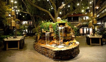 Tropical resort-like setting in these Dallas apartments for rent Tropical resort-like setting in these Dallas apartments for rent - Photo Gallery 4