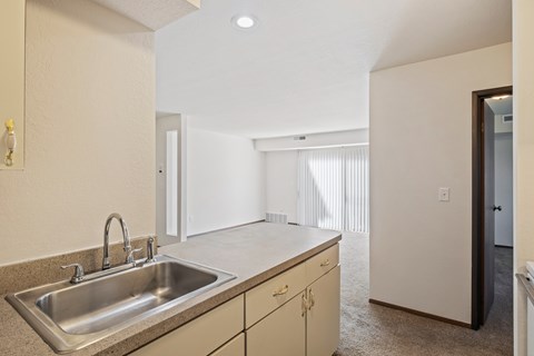A kitchen with a sink and cabinets.