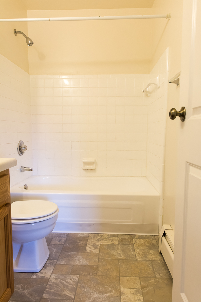 a bathroom with a toilet and a bath tub