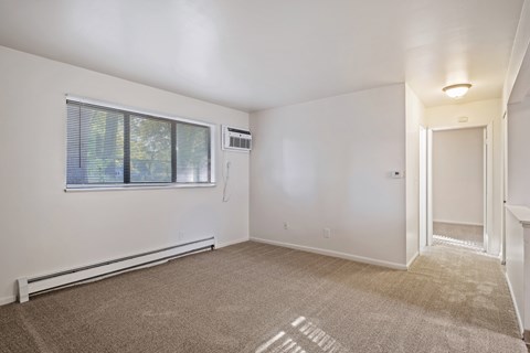 A room with a window and a carpet on the floor.
