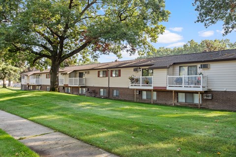 A tree in front of apartment buildings.