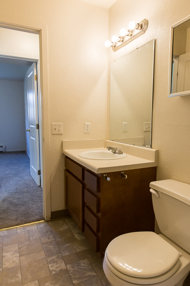 a bathroom with a toilet and a sink and a mirror