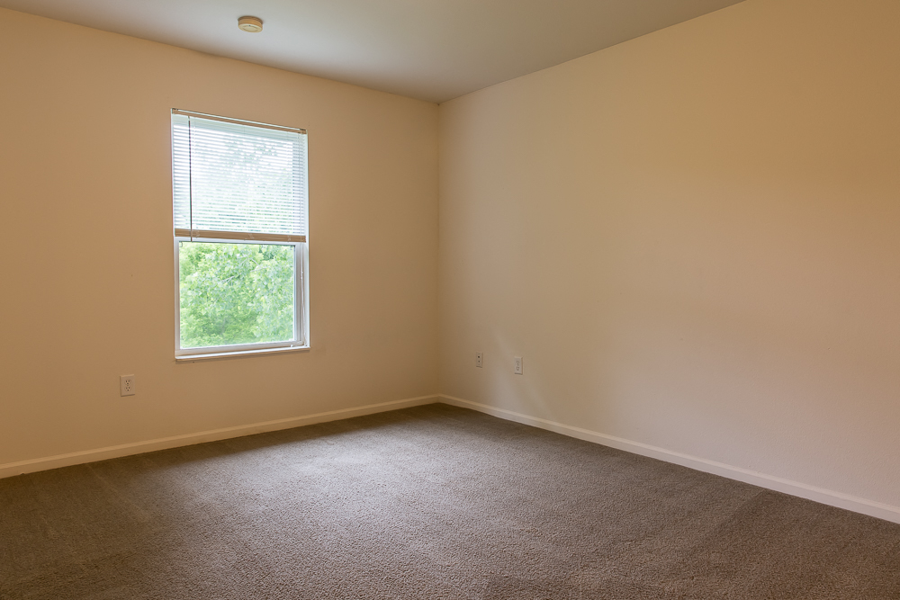 an empty room with carpet and a window