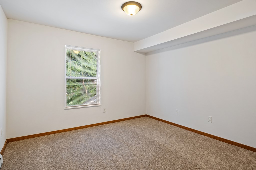 A room with a window and carpeted floor.
