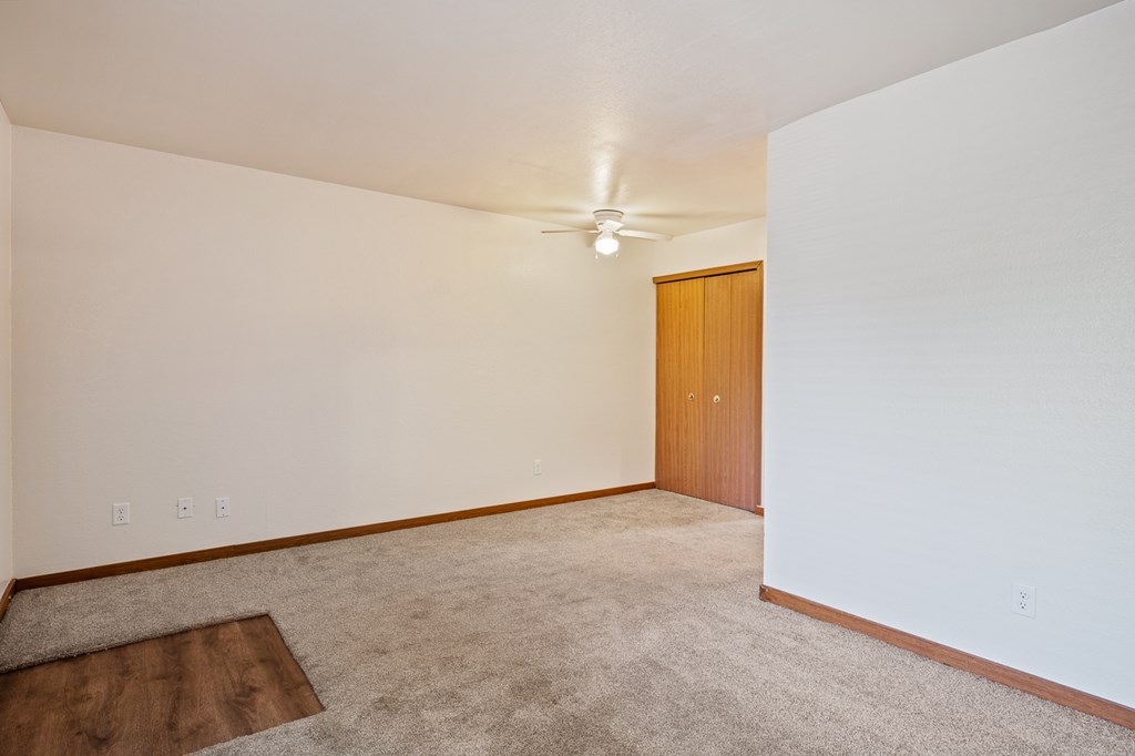 A room with a carpeted floor and a ceiling fan.