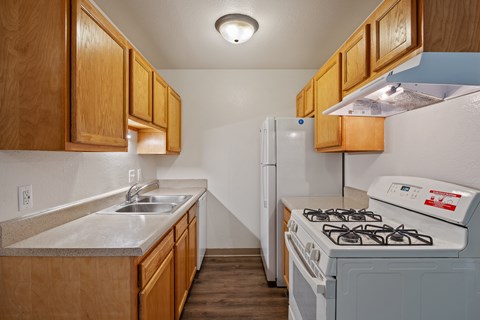 A kitchen with a stove and a refrigerator.