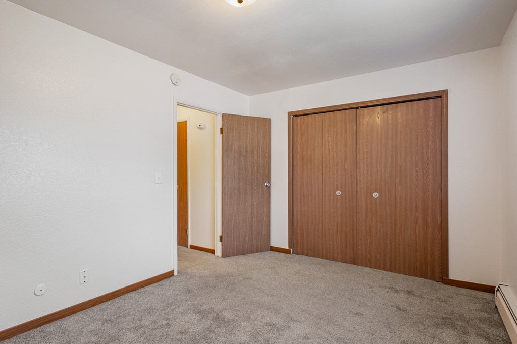 A room with two brown doors and a carpeted floor.