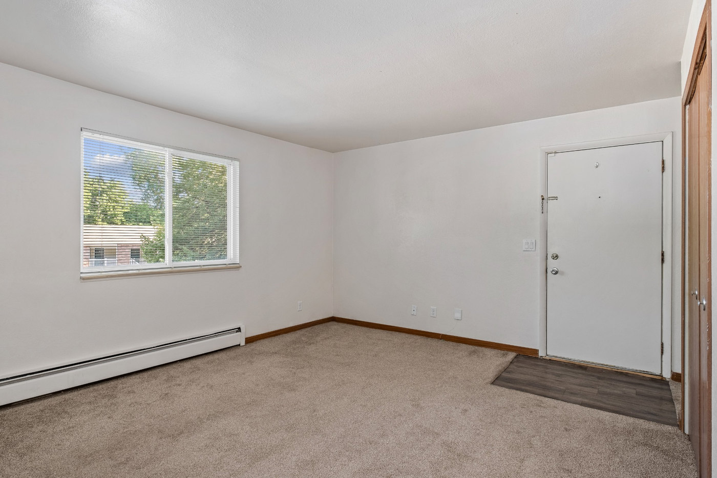 A room with a carpeted floor, a window, and a door.