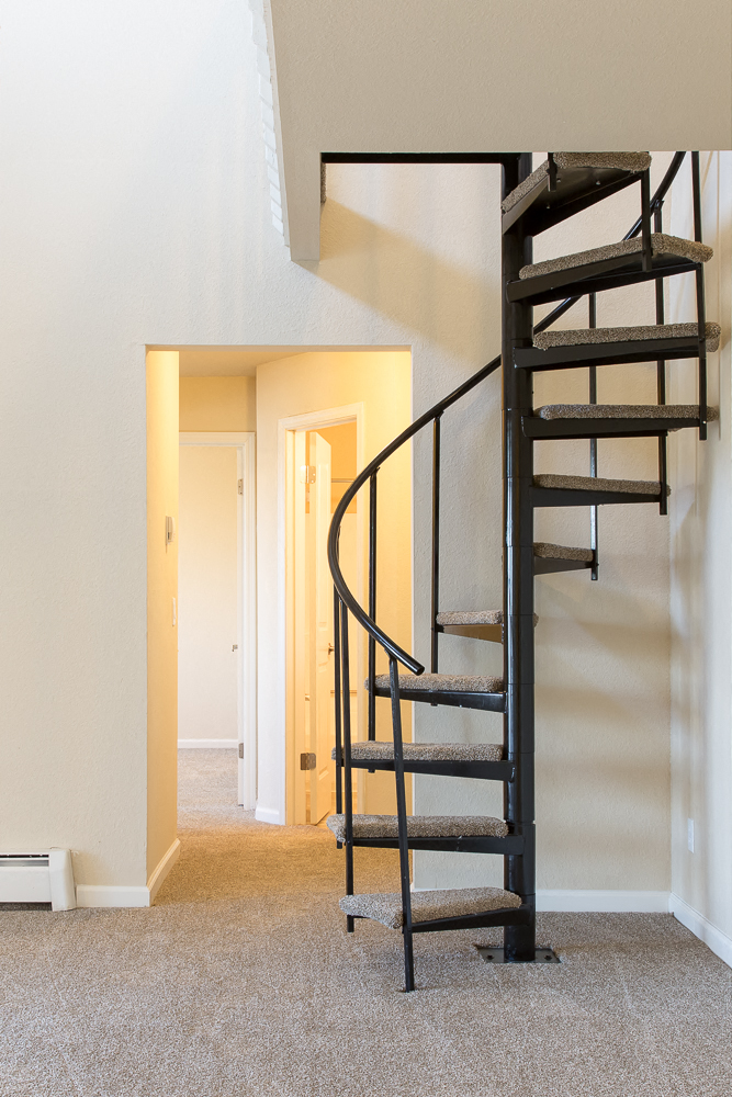 a spiral staircase in a home with a carpeted floor and white walls