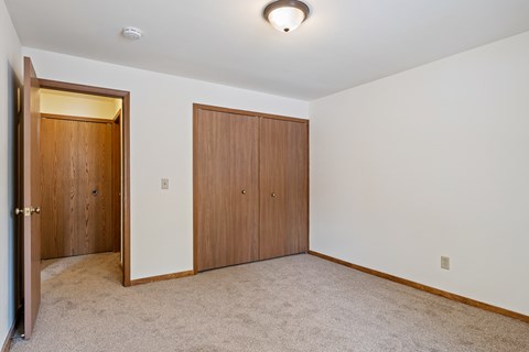 A room with two brown doors and a carpeted floor.