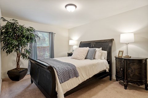 A bedroom with a large bed and a potted plant.