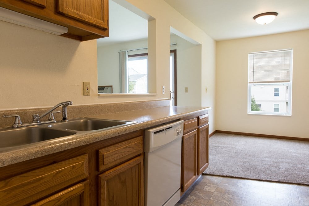a kitchen with a sink and a dishwasher in a house