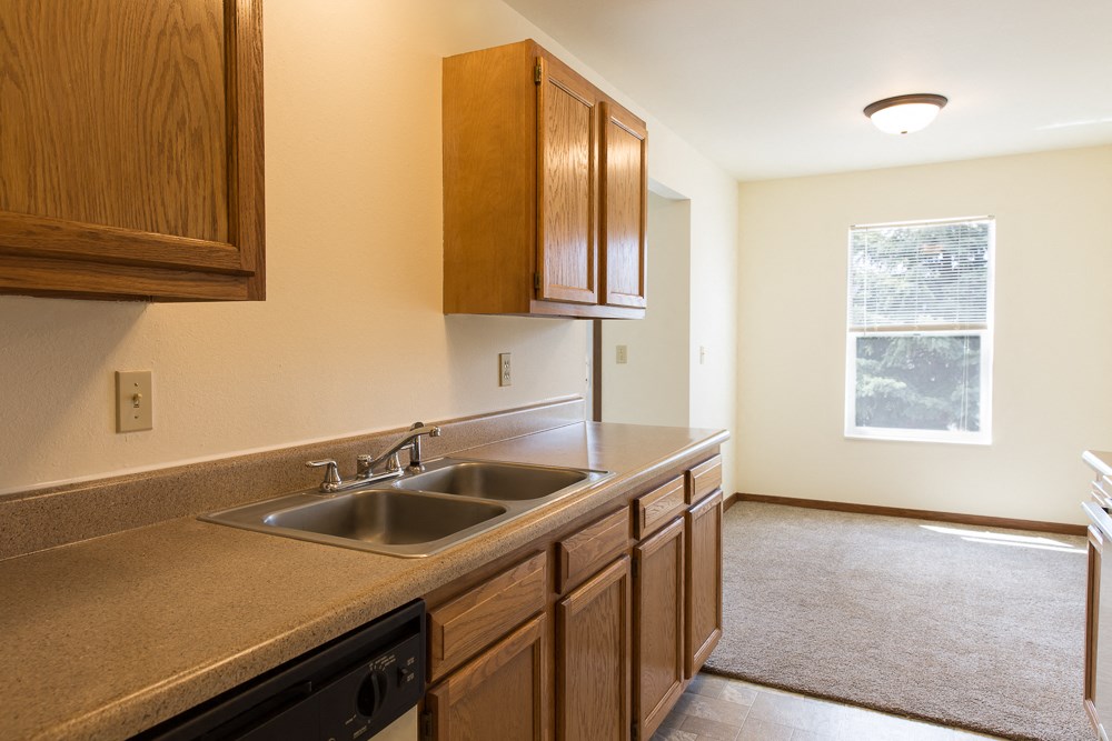 a kitchen with a sink and wooden cabinets and a window
