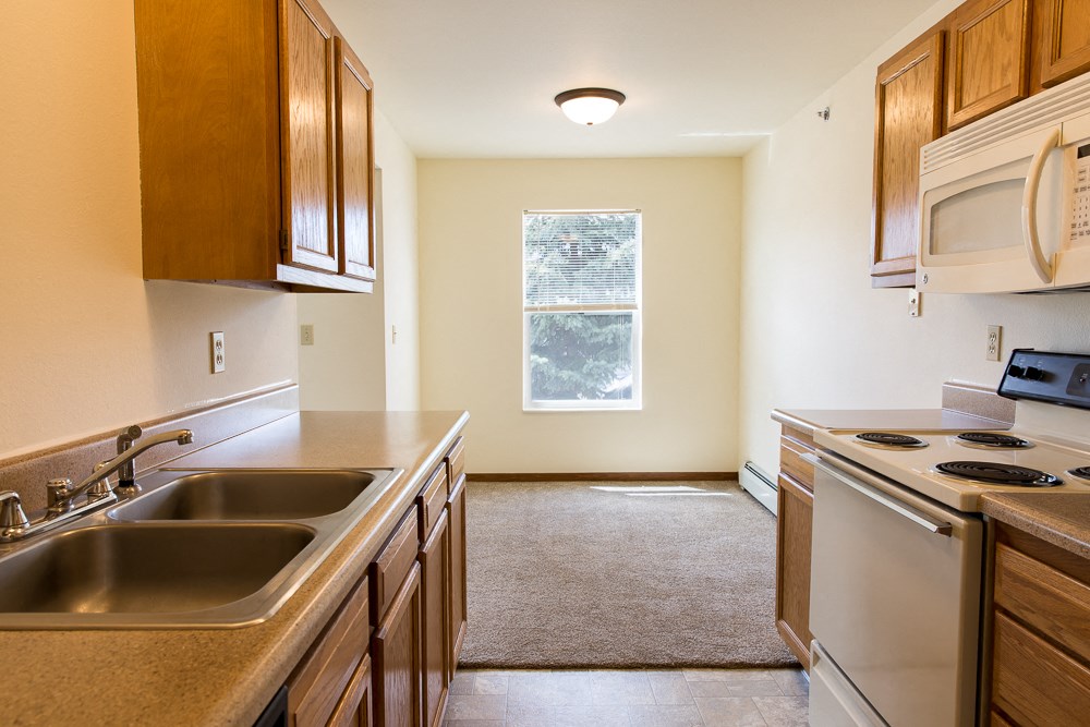 a kitchen with a sink and a stove and a window