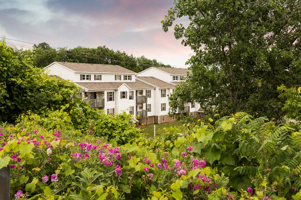 a view of a garden with houses in the background
