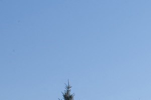 Playground - Photo Gallery 4