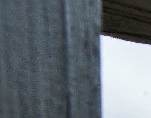 Pond - Photo Gallery 3