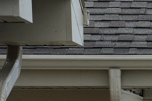 Cottages Exterior - Photo Gallery 5