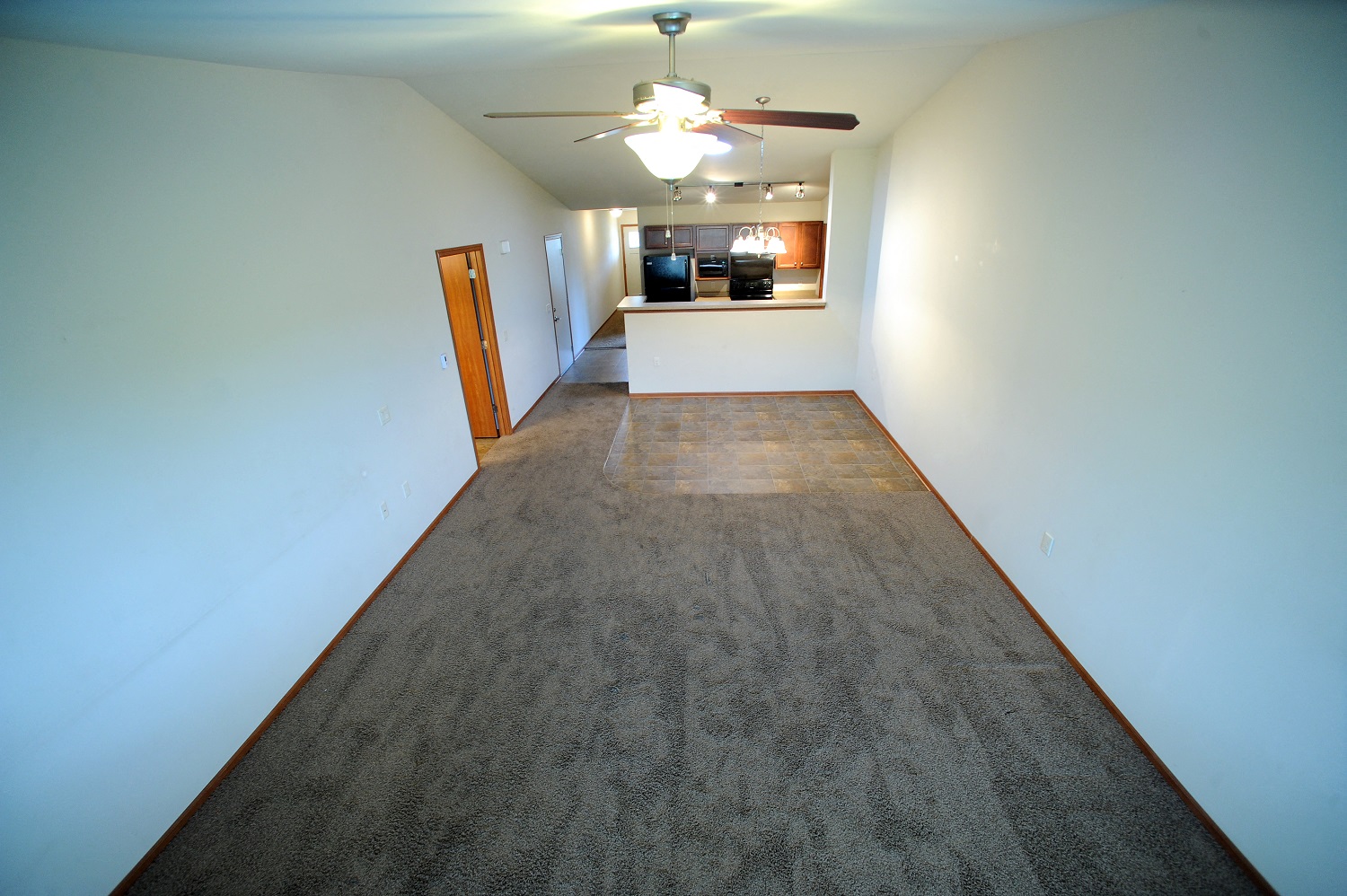 Living Room & Kitchen