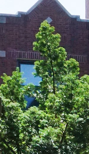 GreenGlen Park | Apartments in Chicago, IL