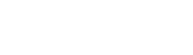 116-120 Chestnut Properties logo