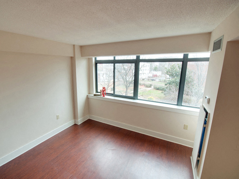 Large, Sunny Windows