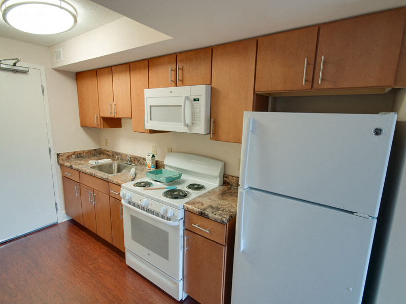 Alternate Kitchen Style