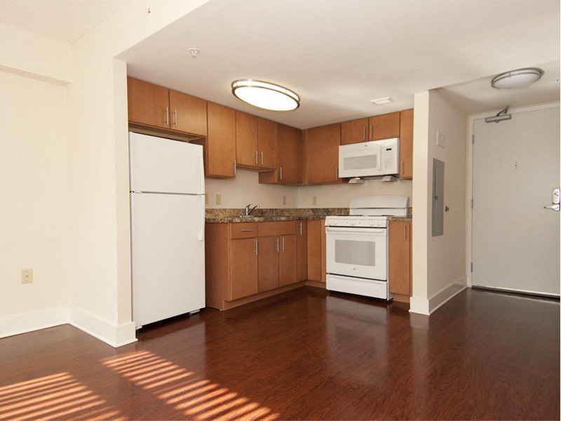 1 Bedroom Apartment- Kitchen