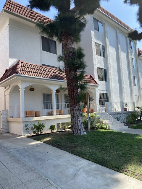 a building with a palm tree in front of it