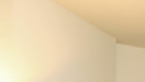 304 W. North Street Studio-2 Beds Apartment for Rent - Photo Gallery 4