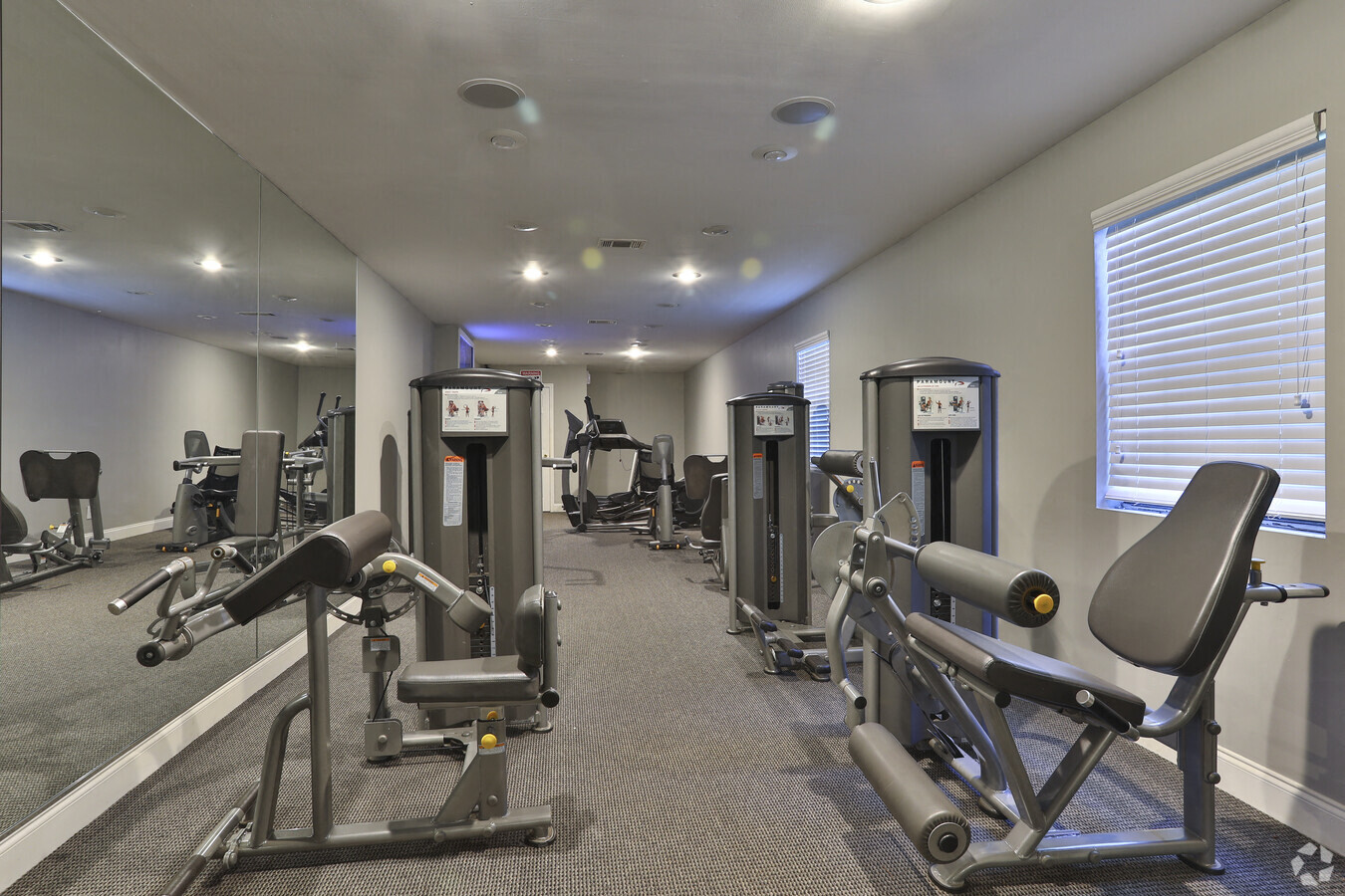 a gym with weights and cardio equipment in a building