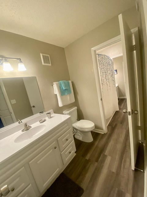 a bathroom with a toilet and a sink and a mirror