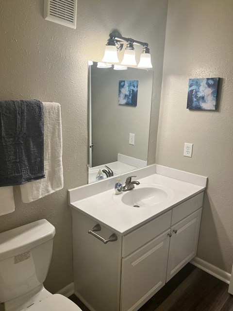 a bathroom with a sink and a toilet and a mirror