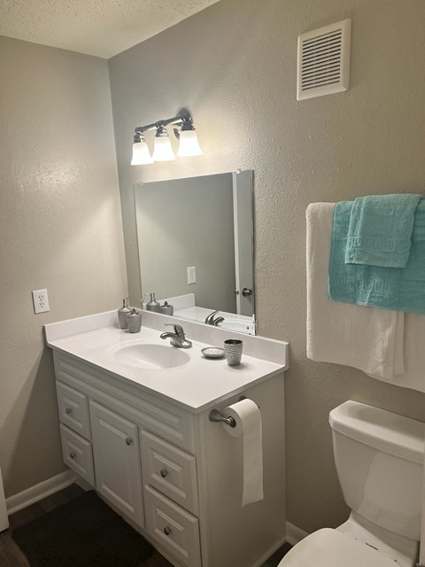 a bathroom with a sink and a toilet and a mirror