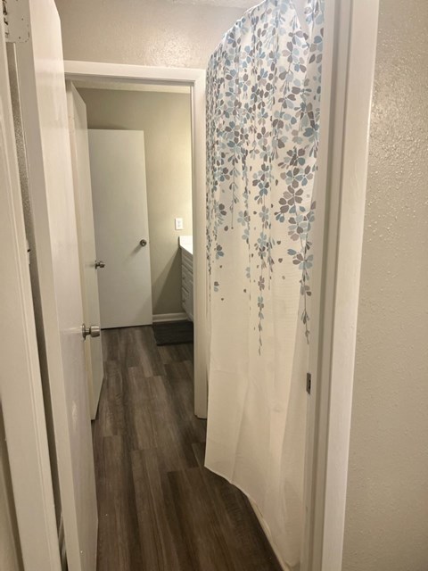 a bathroom with a shower curtain and a closet