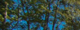 Roper Mountain Woods Apartments Apartments In Greenville Sc