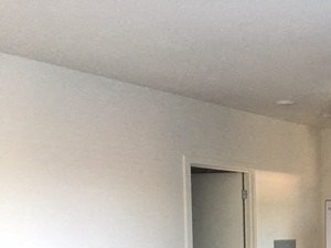 2 bed 1 bath 3601 Greenwood Ave N Studio-2 Beds Apartment for Rent - Photo Gallery